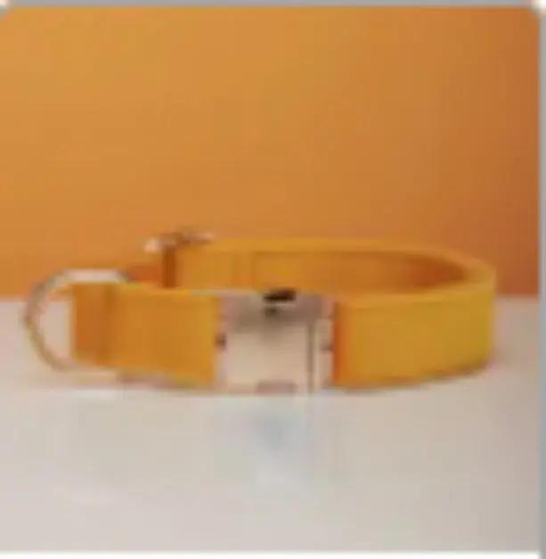 Customize Multiple Colors Velvet Personality Dog Collar Leash Set With Bow MaxNova