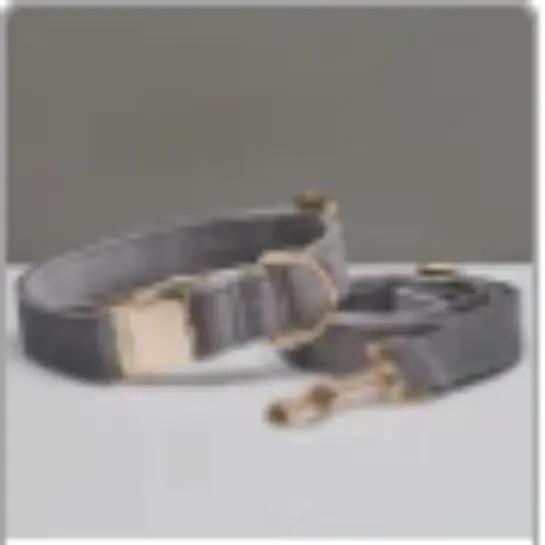 Customize Multiple Colors Velvet Personality Dog Collar Leash Set With Bow MaxNova