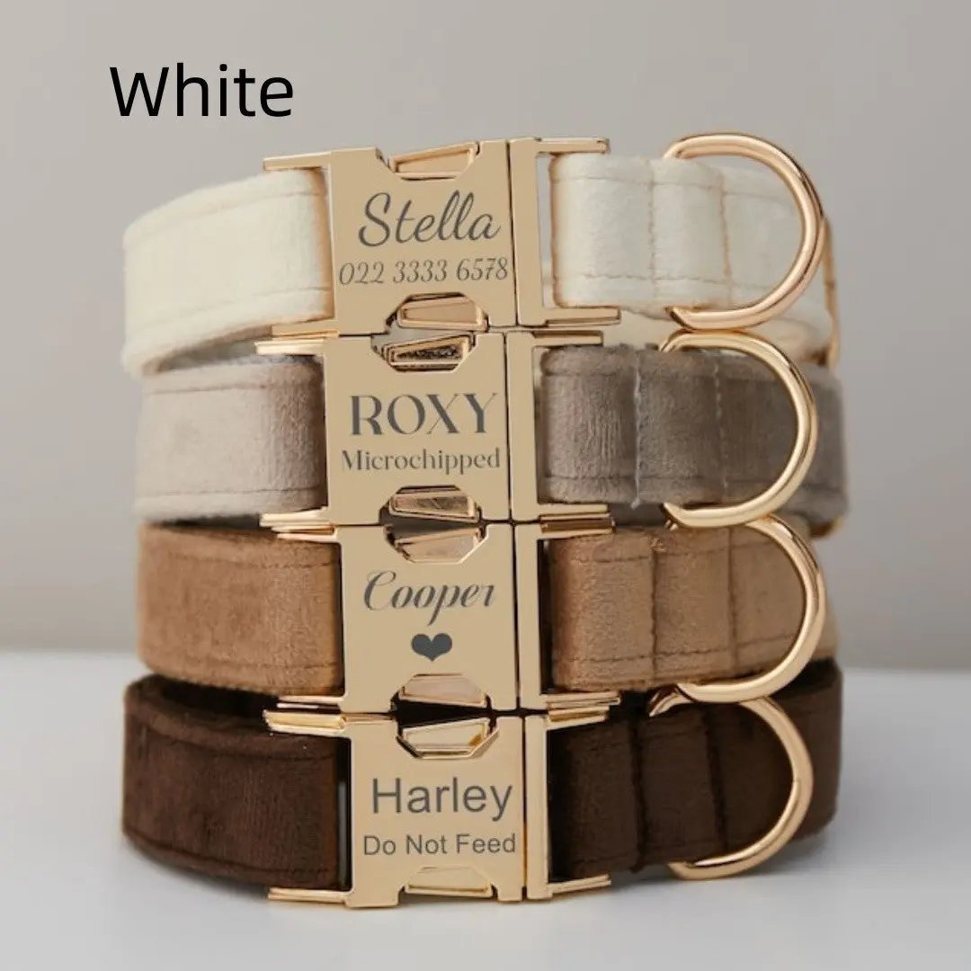 Customize Multiple Colors Velvet Personality Dog Collar Leash Set With Bow MaxNova