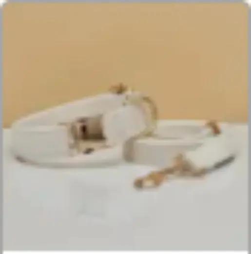 Customize Multiple Colors Velvet Personality Dog Collar Leash Set With Bow MaxNova