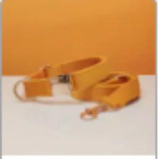 Customize Multiple Colors Velvet Personality Dog Collar Leash Set With Bow MaxNova