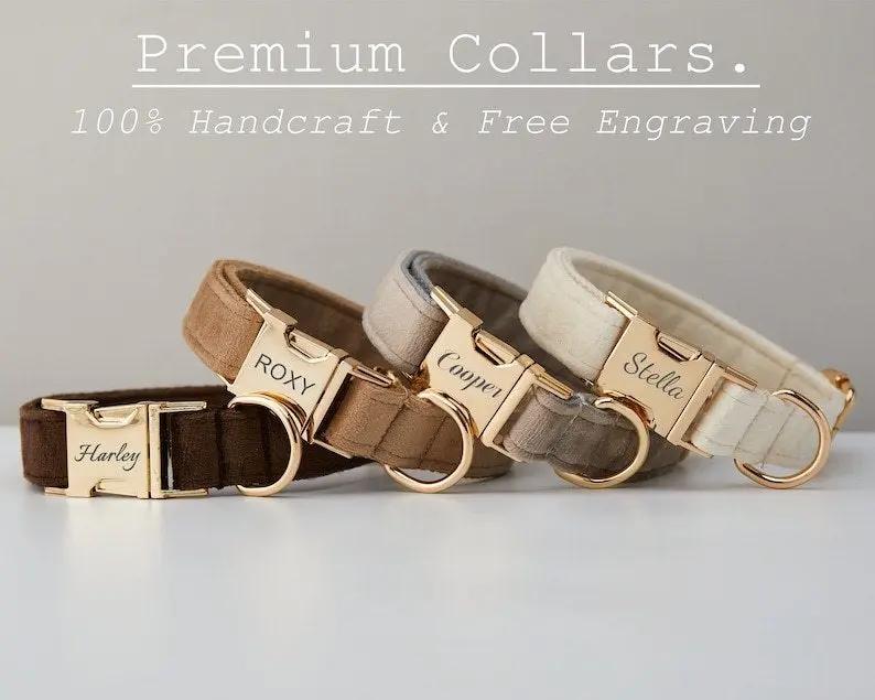 Customize Multiple Colors Velvet Personality Dog Collar Leash Set With Bow MaxNova