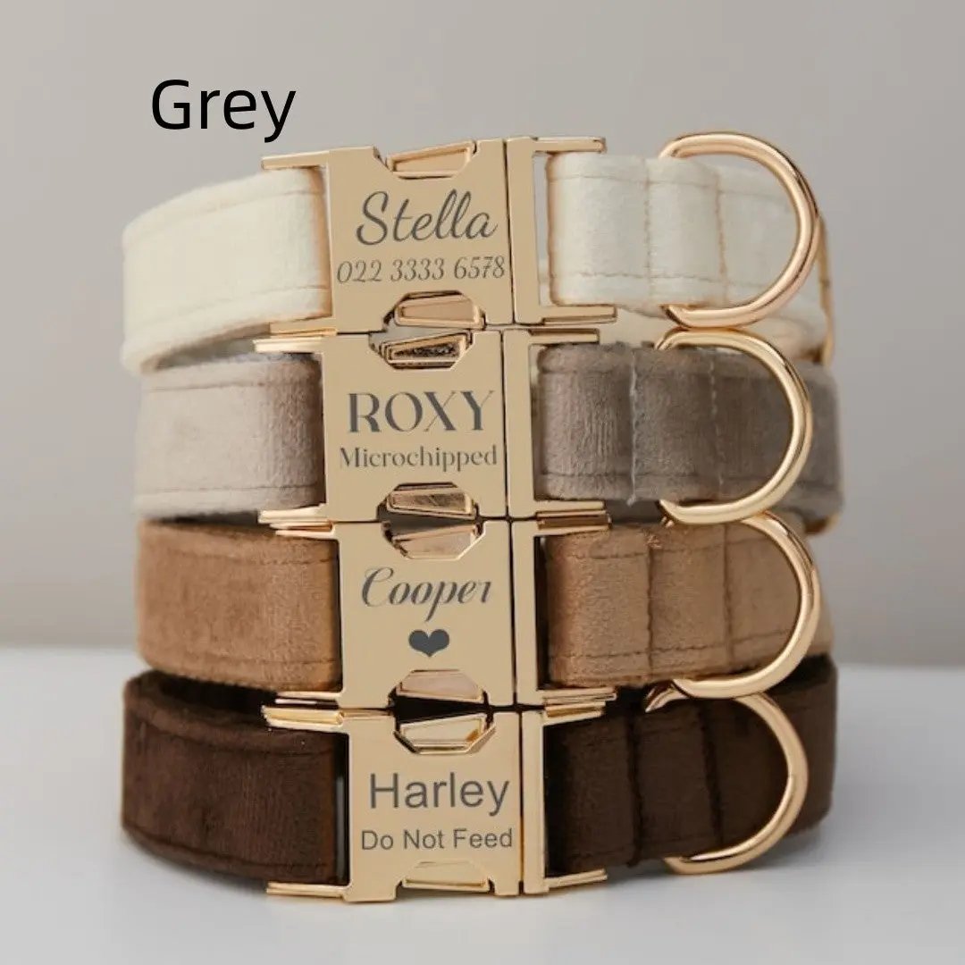 Customize Multiple Colors Velvet Personality Dog Collar Leash Set With Bow MaxNova