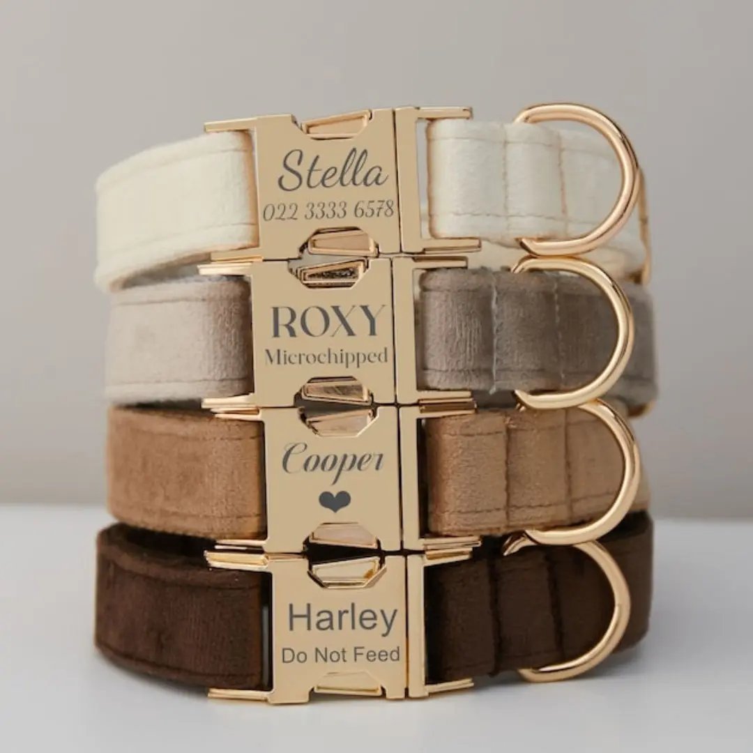 Customize Multiple Colors Velvet Personality Dog Collar Leash Set With Bow MaxNova